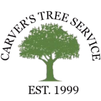 7595aca0 7249 4f7c bc17 7da39204d53e